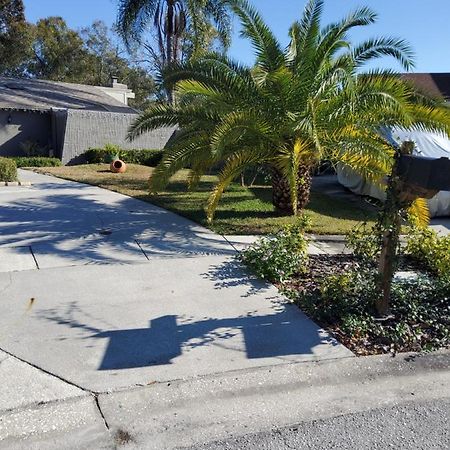 Beautiful Apartment Close To Everything Tampa Bagian luar foto