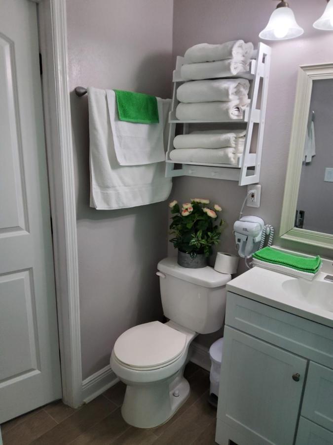 Beautiful Apartment Close To Everything Tampa Bagian luar foto