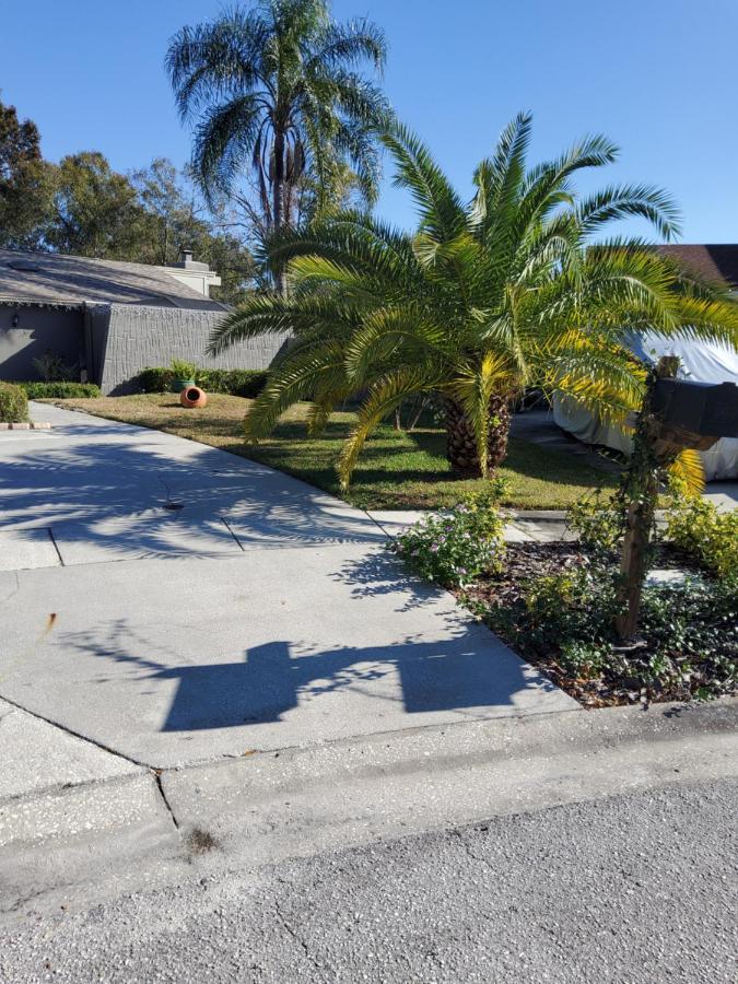 Beautiful Apartment Close To Everything Tampa Bagian luar foto