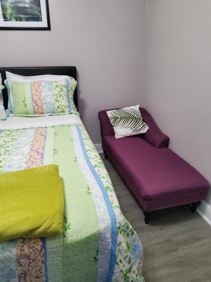 Beautiful Apartment Close To Everything Tampa Bagian luar foto