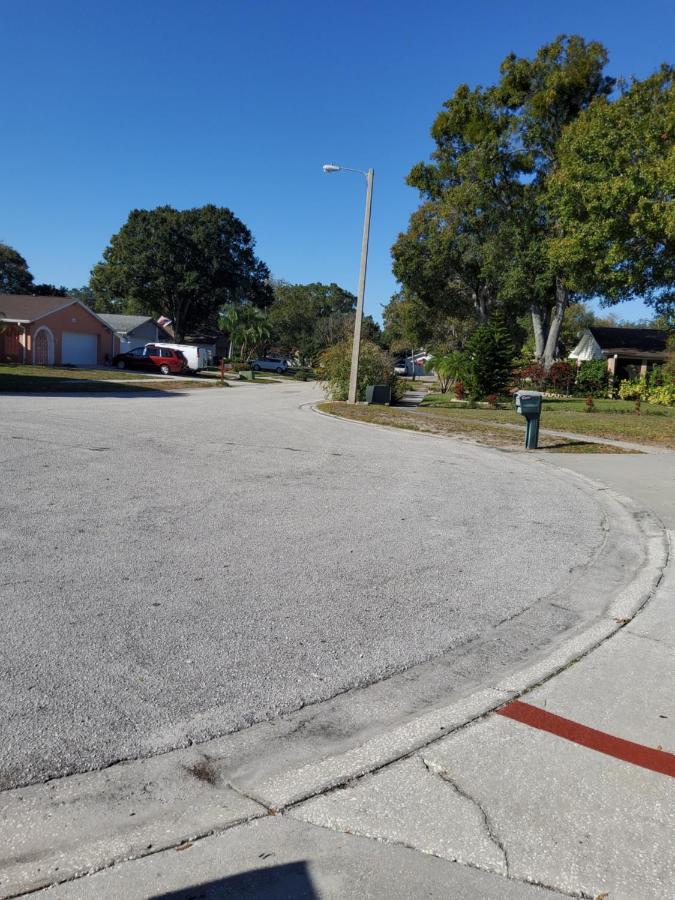 Beautiful Apartment Close To Everything Tampa Bagian luar foto